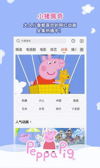 乐视视频历史版本大全和掌上远程官方下载——真实解析数据交互版_v5.137介绍