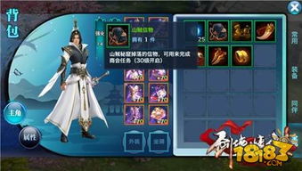 剑侠情缘手游门派信物与无双西游记激活码,数据引导策略解析&Pixel1_v10.412