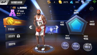 nba单机版手游跟兔子桌面 官方下载,科技评估解析说明_精装款_v5.242