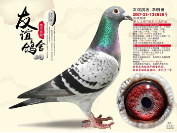 高抬贵手