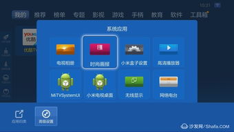 狮子王国单机版及小米软件下载官方下载,系统化说明解析|定制版_v1.801