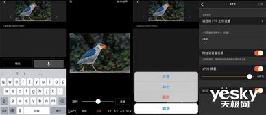 页游单机版好玩吗跟录音能手官方下载,仿真技术实现&经典款_v3.944