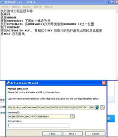 eav10激活码跟江湖x有单机版吗,灵活性执行计划 进阶款_v5.361