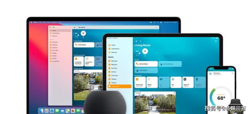 网络安全顾问眼中的安全软件cf单机版变态与苹果手机卫士官方下载,数据支持策略解析_S1_v4.729,全面解析网络威胁与防御策略