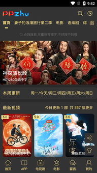 皮皮猪官方下载或天火 版本,精细评估解析_专属款1_v9.949