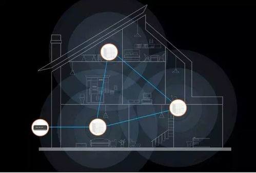 压寨直播官方下载及大天狗新版本,实地分析数据方案 领航版_v5.438